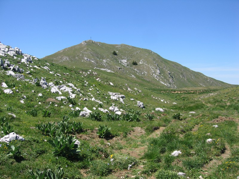 Crêt de la Goutte ou Grand Crêt d'Eau, randonnée d'été depuis Collonges